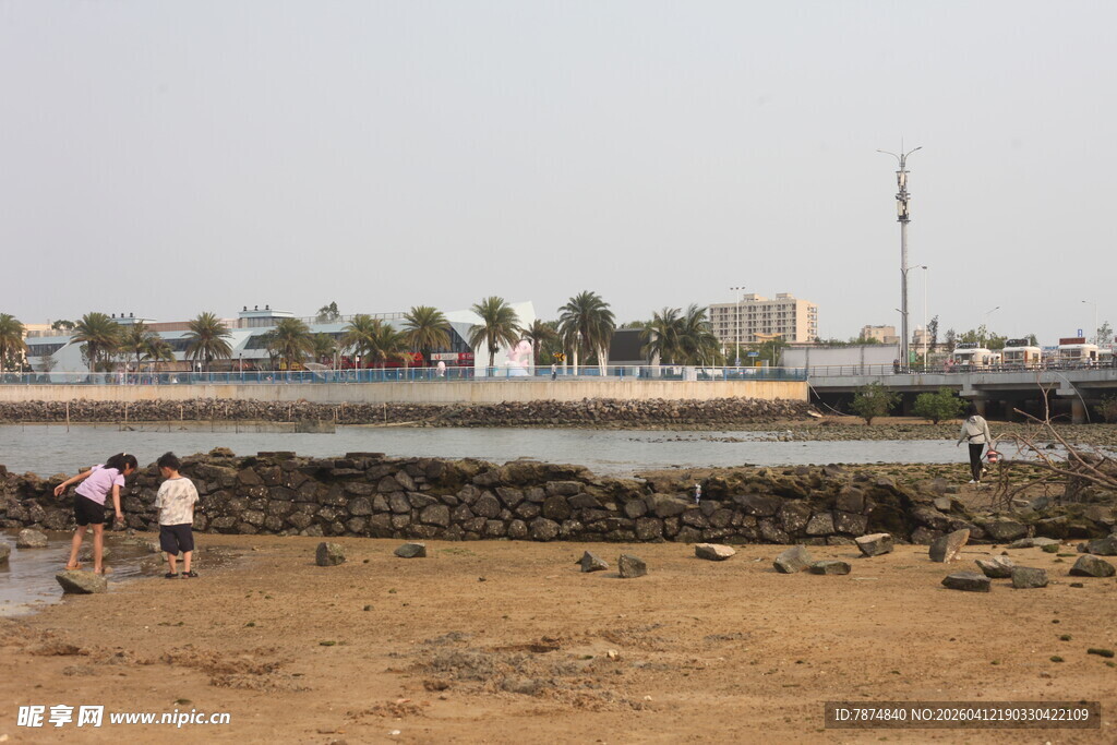 湛江海边滩涂景象