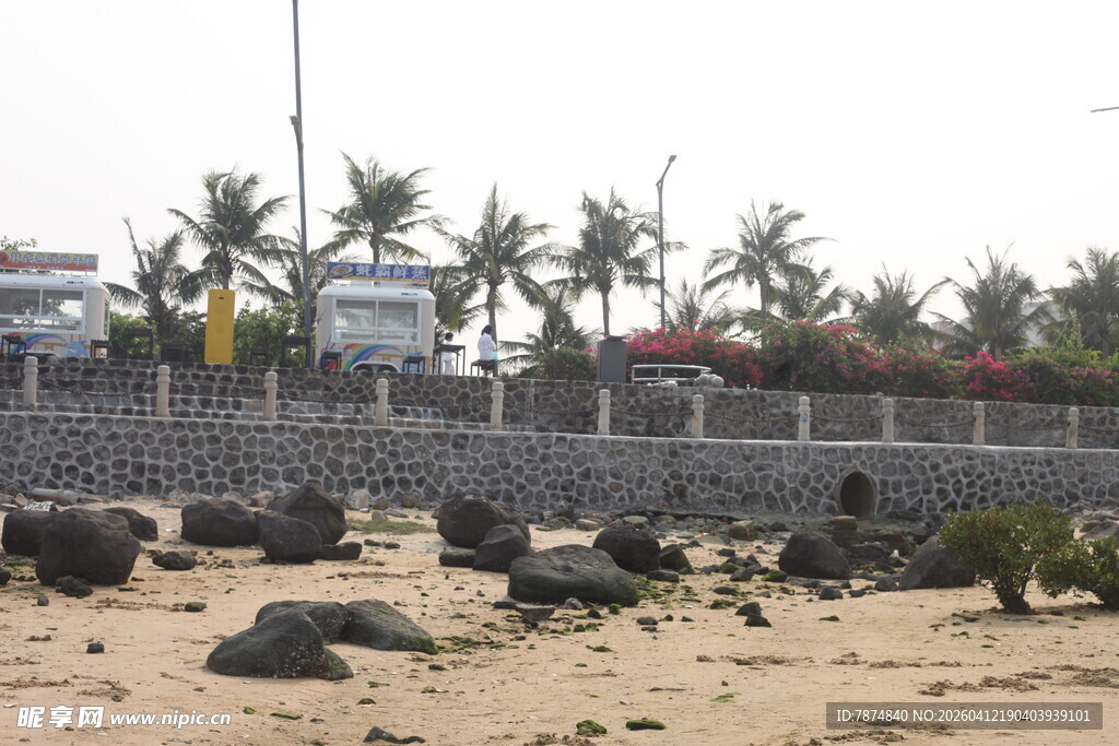 湛江海边沙滩与绿植景观