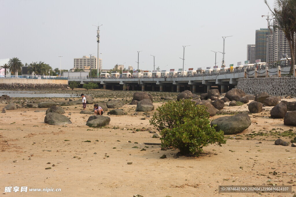 湛江沙漠荒地中的零星绿植