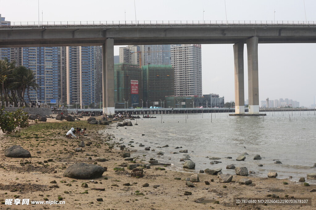 湛江江边桥梁下的河岸景致