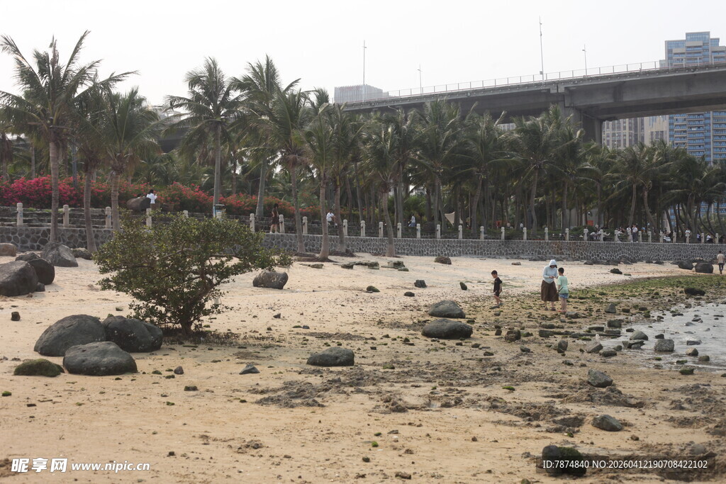 湛江沙滩景观 绿植与建筑相映