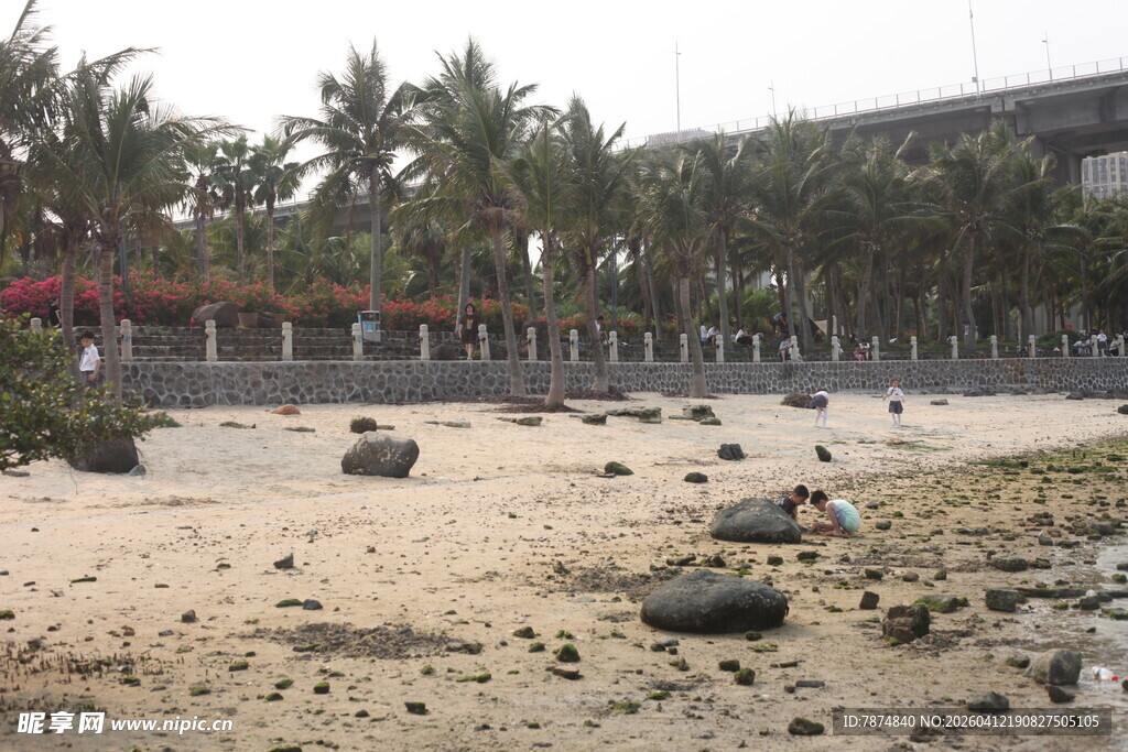 湛江沙滩上散落的多样石块