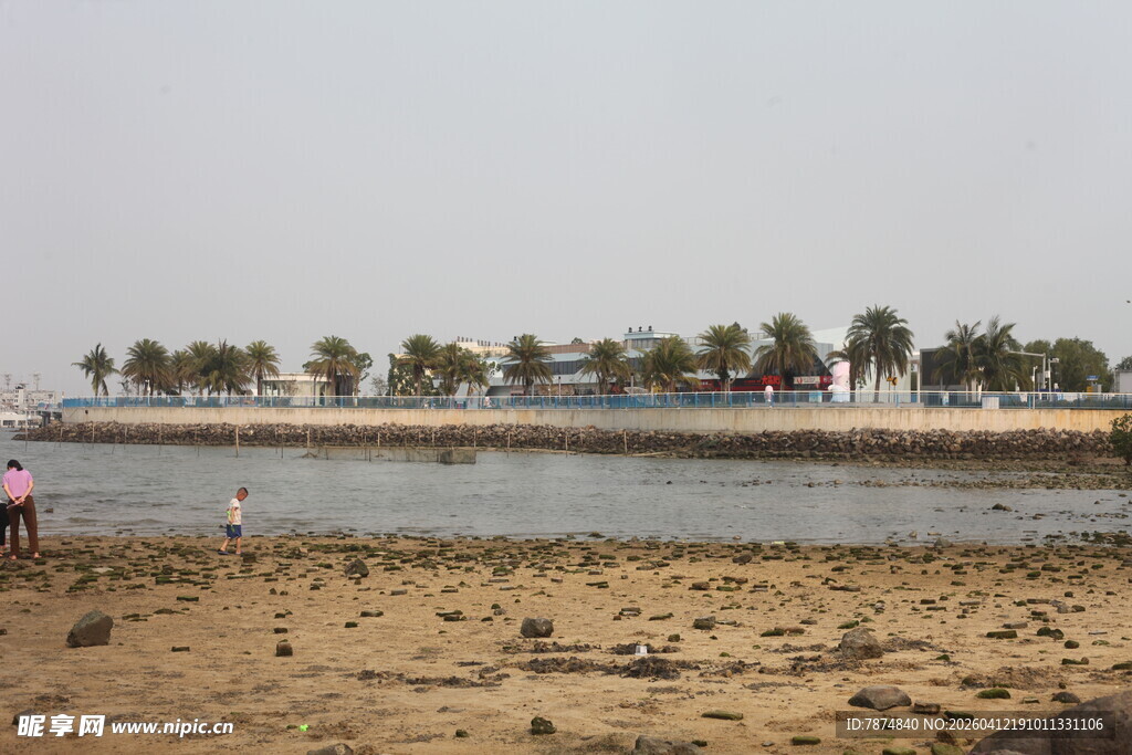 湛江海滨沙滩风光 远处绿树成排