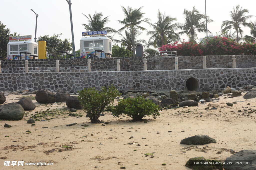 湛江海边碎石滩与绿植景观