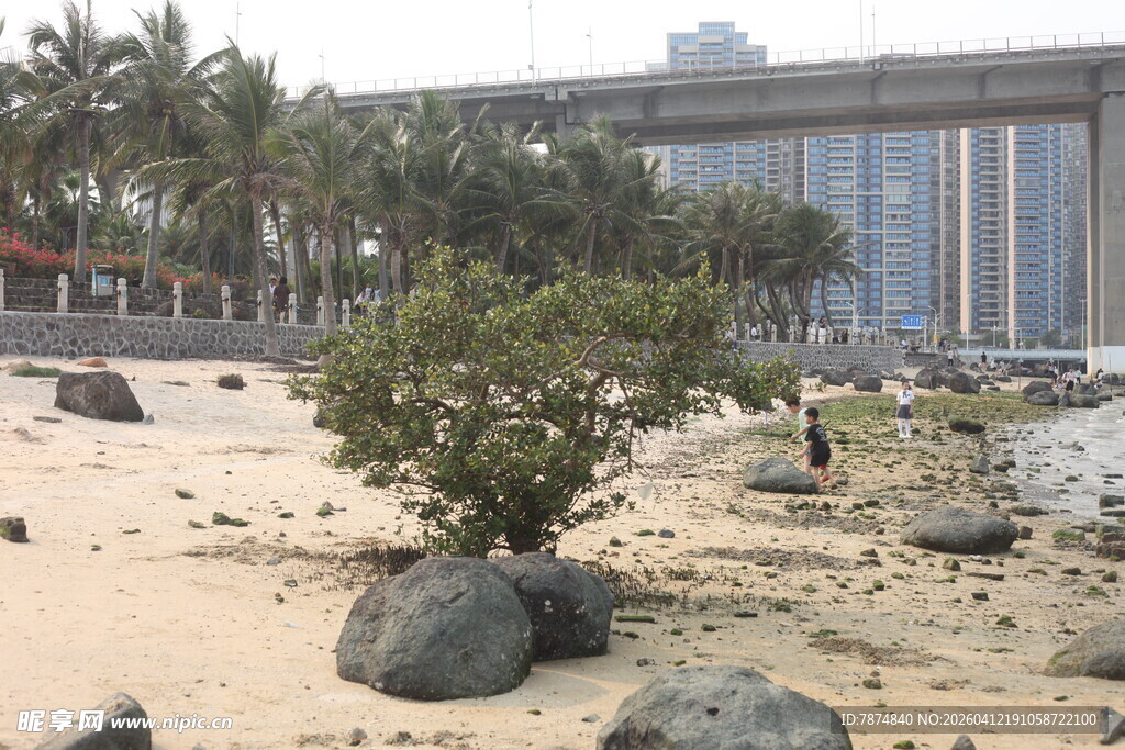 湛江海滨沙滩绿植与建筑景观