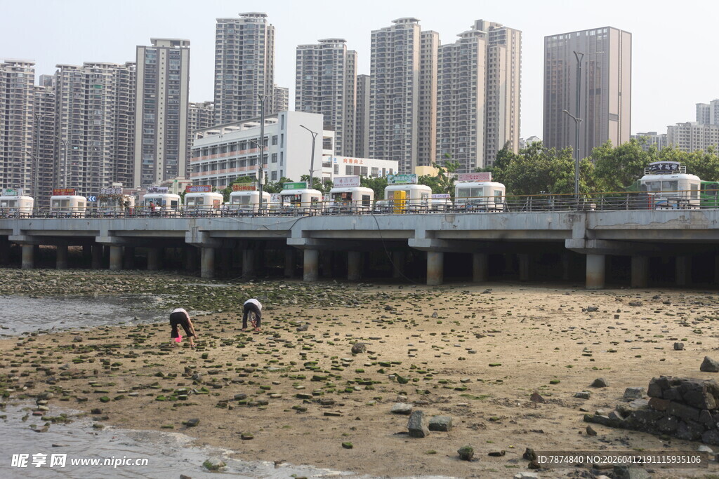 湛江城市河畔滩涂处的劳动者