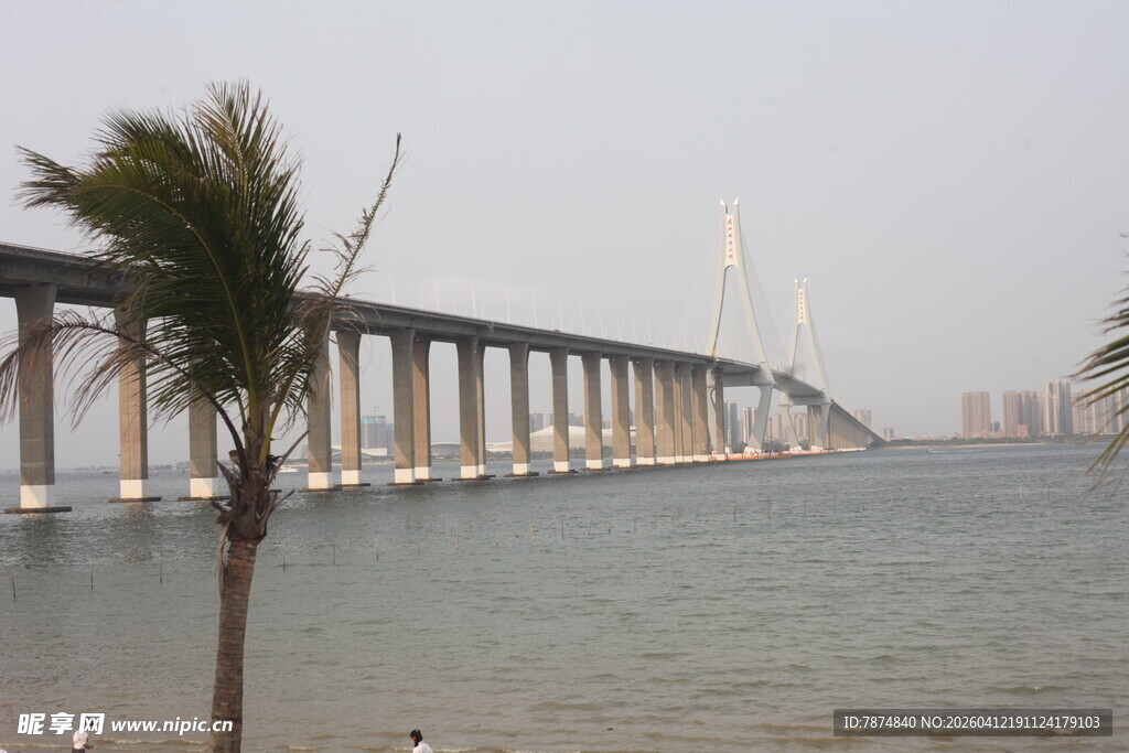 湛江跨海大桥与岸边棕榈树景色