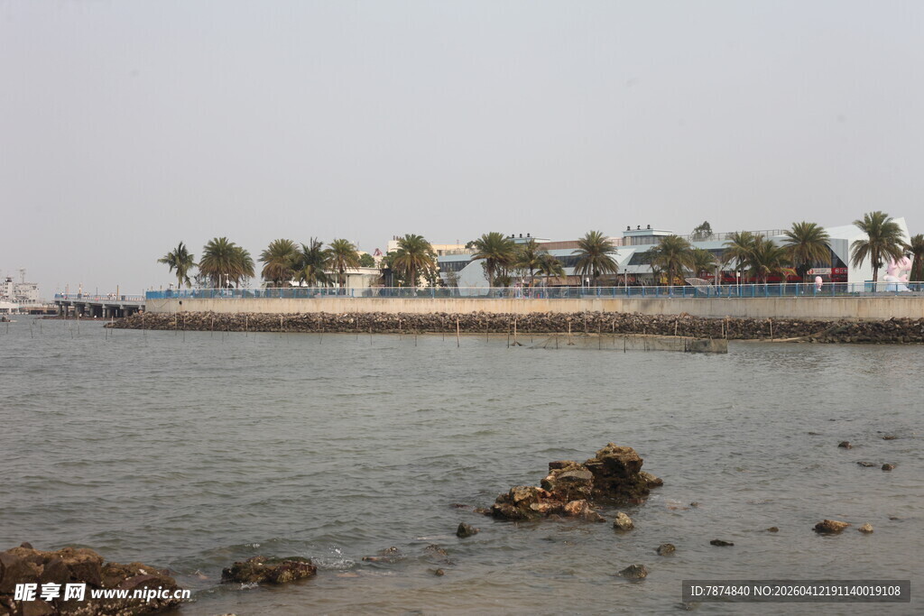 湛江海滨风光 岸边椰树映海水
