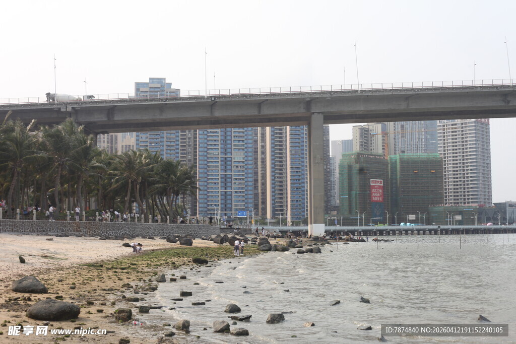 湛江江边高架桥与城市景观