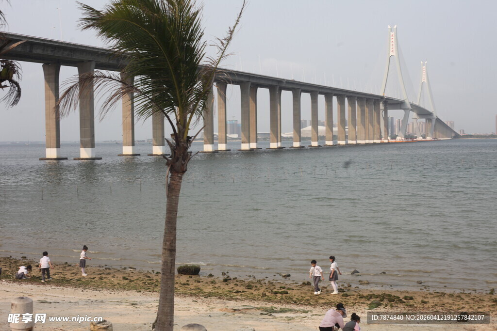 湛江海滨大桥下的休闲场景