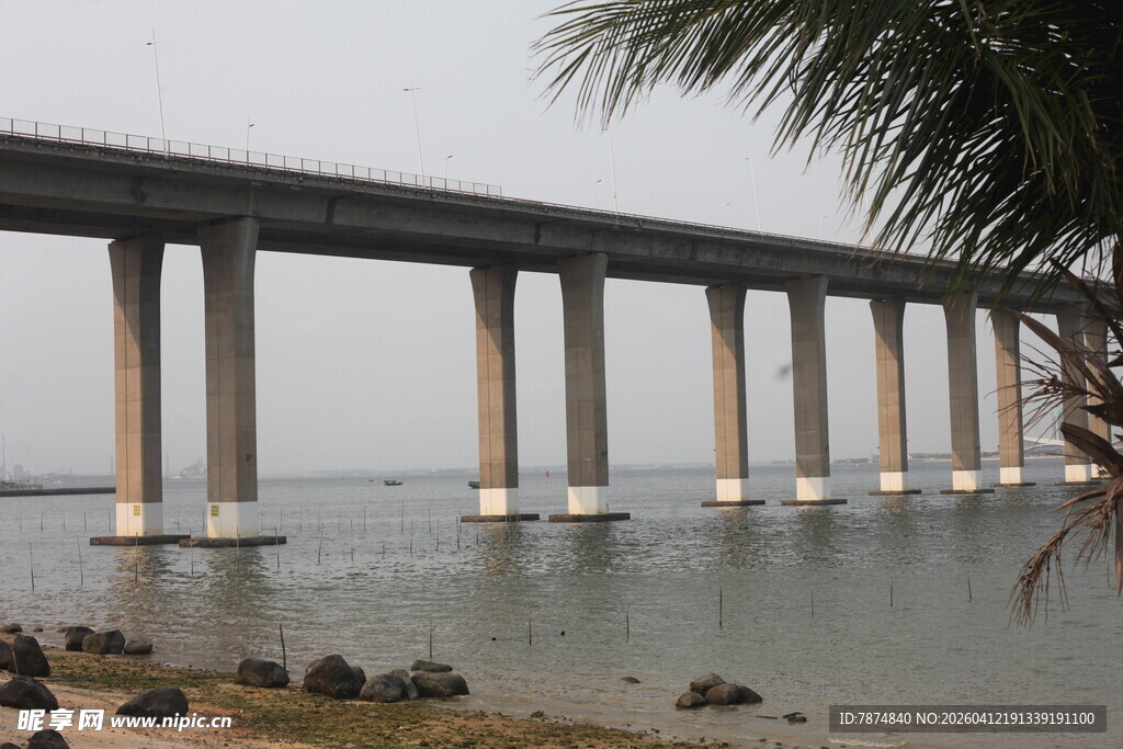 湛江海上长桥与岸边椰树景观