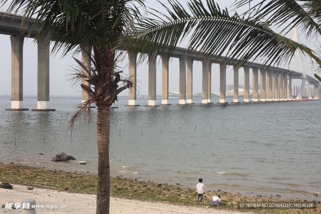 湛江海边长桥与岸边椰树景观