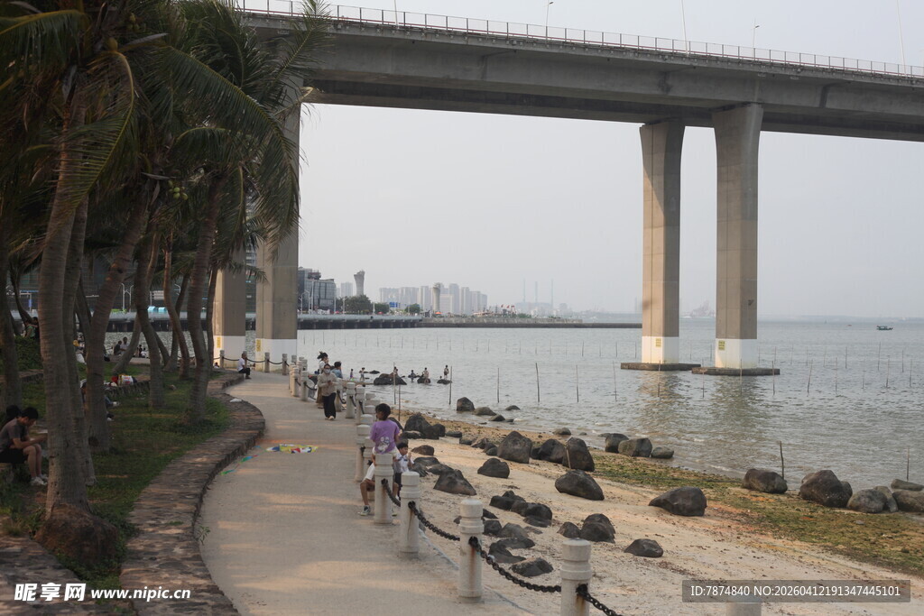 湛江海滨公路旁的桥梁风景