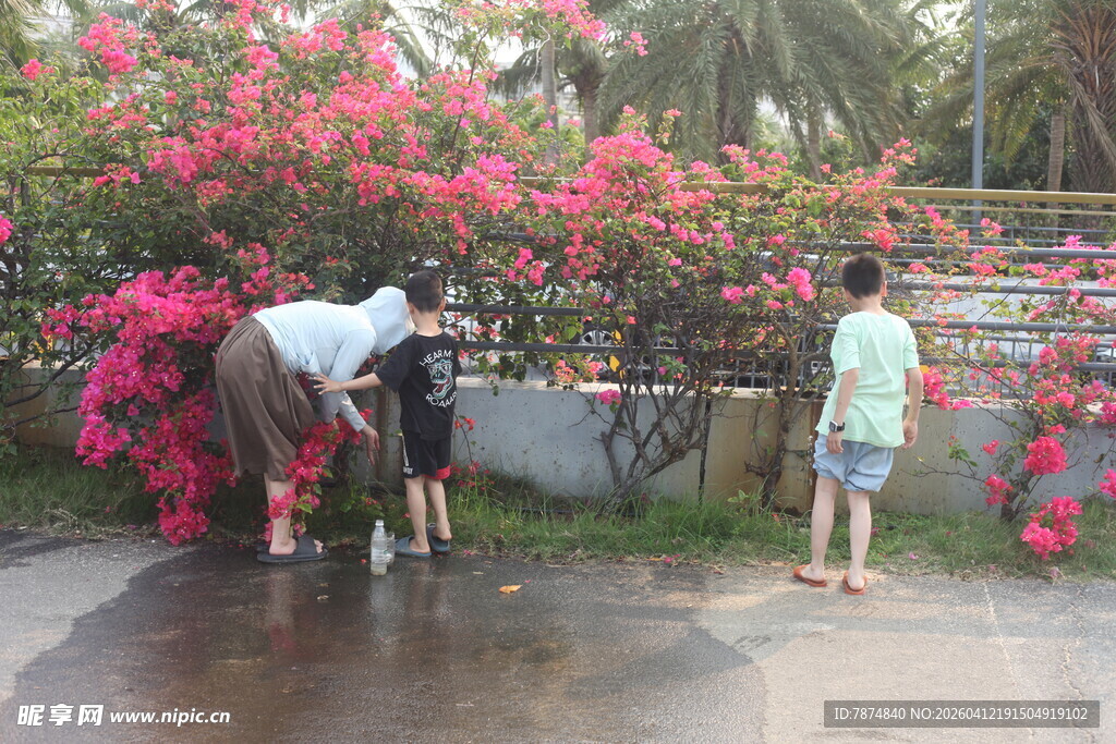 湛江路边赏景的人们