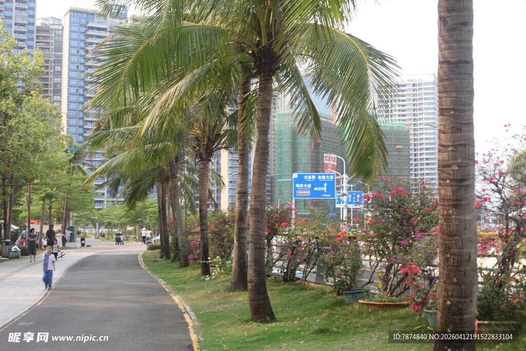 湛江城市林荫步道风景