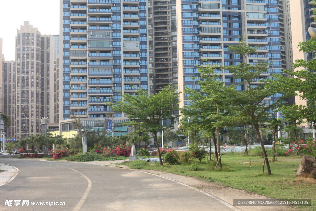 湛江城市高楼旁的绿化道路