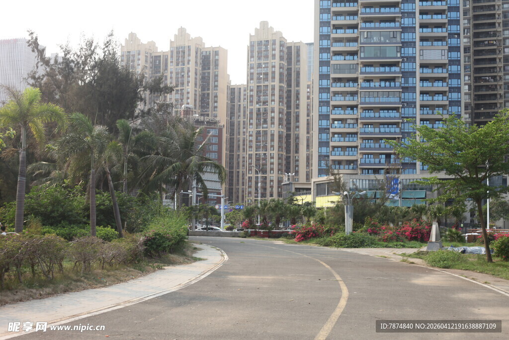 湛江城市道路旁的高楼与绿植