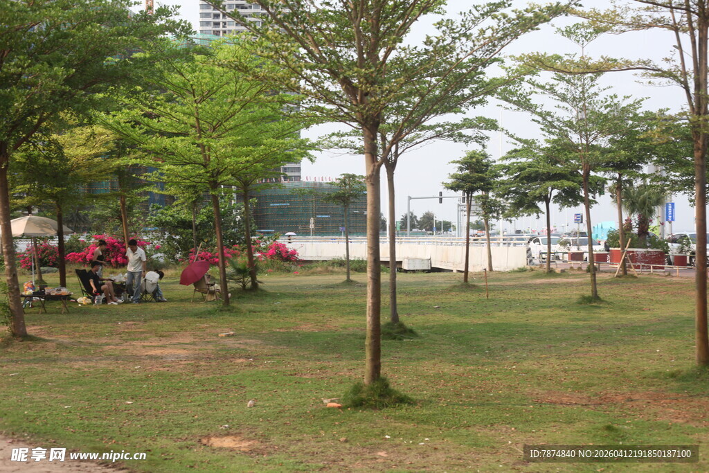 湛江公园绿树成荫的休闲场景