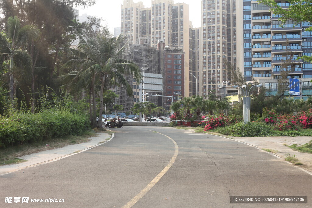 湛江城市街道旁的高楼与绿植