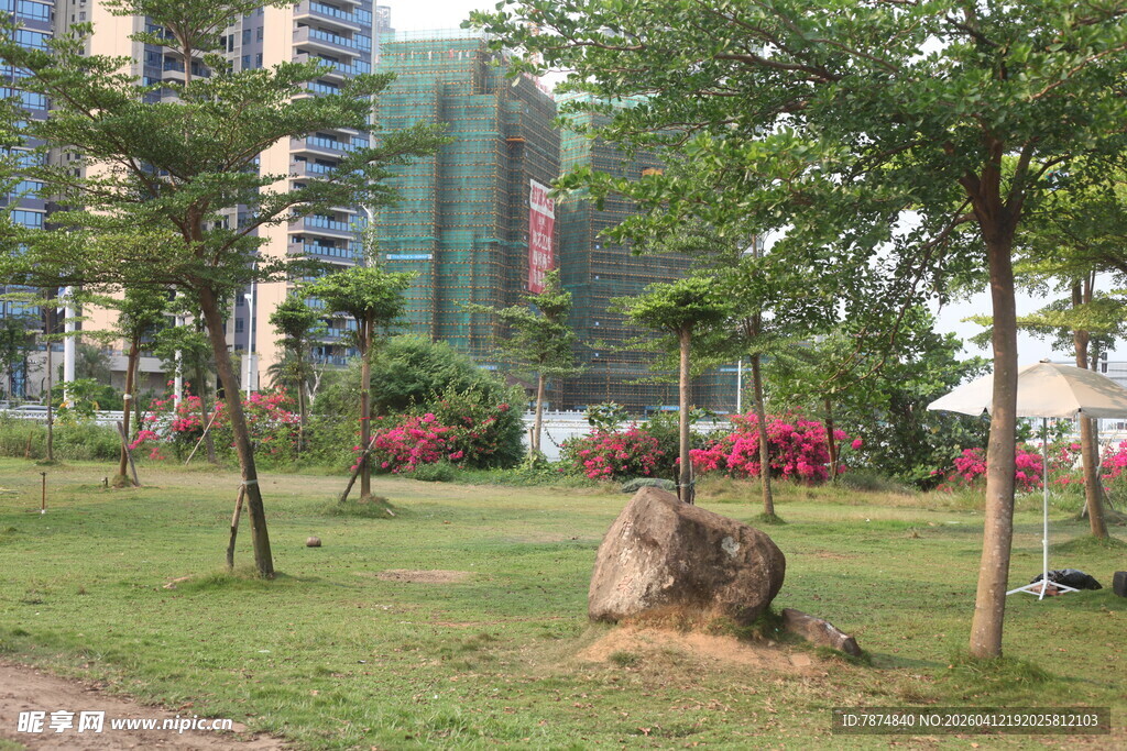 湛江城市中的静谧草地景观
