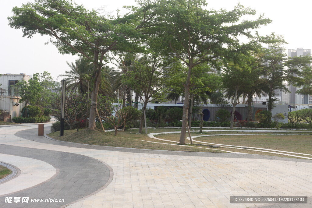 湛江公园中的弯曲小路与绿树