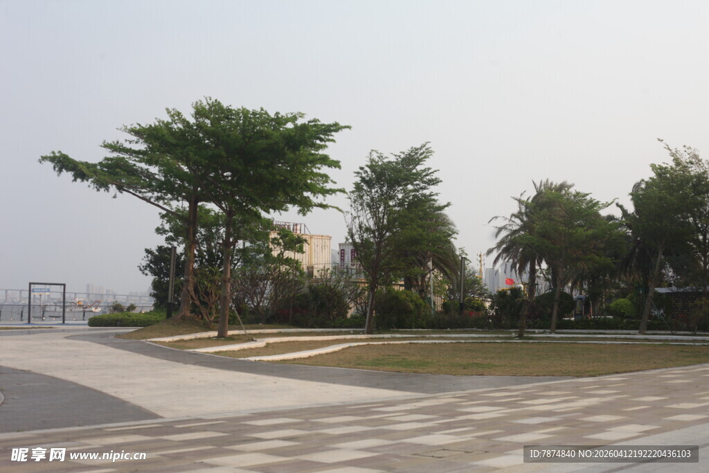 湛江海滨公园绿树成荫景致