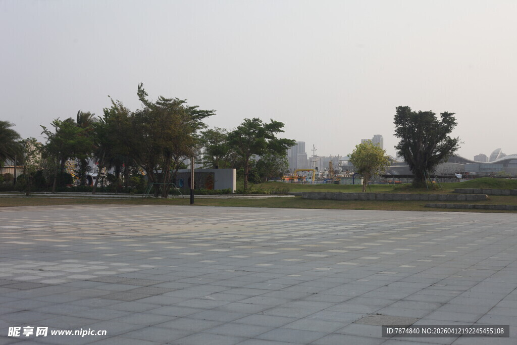 湛江空旷广场与树木景观