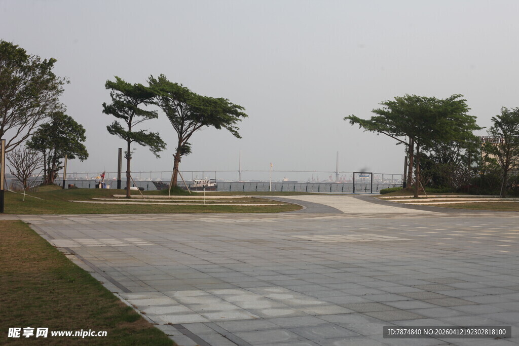 湛江空旷广场边的绿树与远景