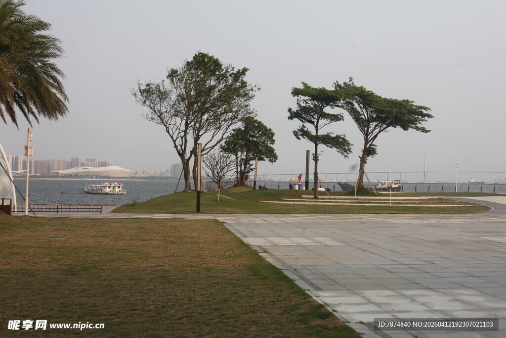 湛江海滨草地旁的树木景观