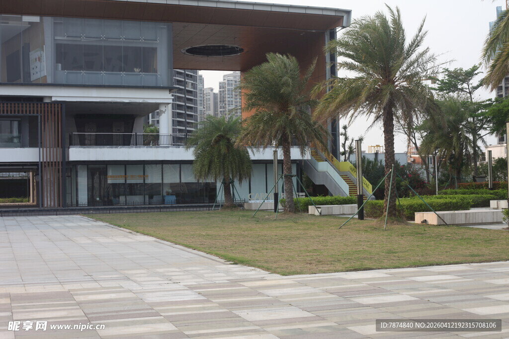 湛江现代建筑旁的绿植景观