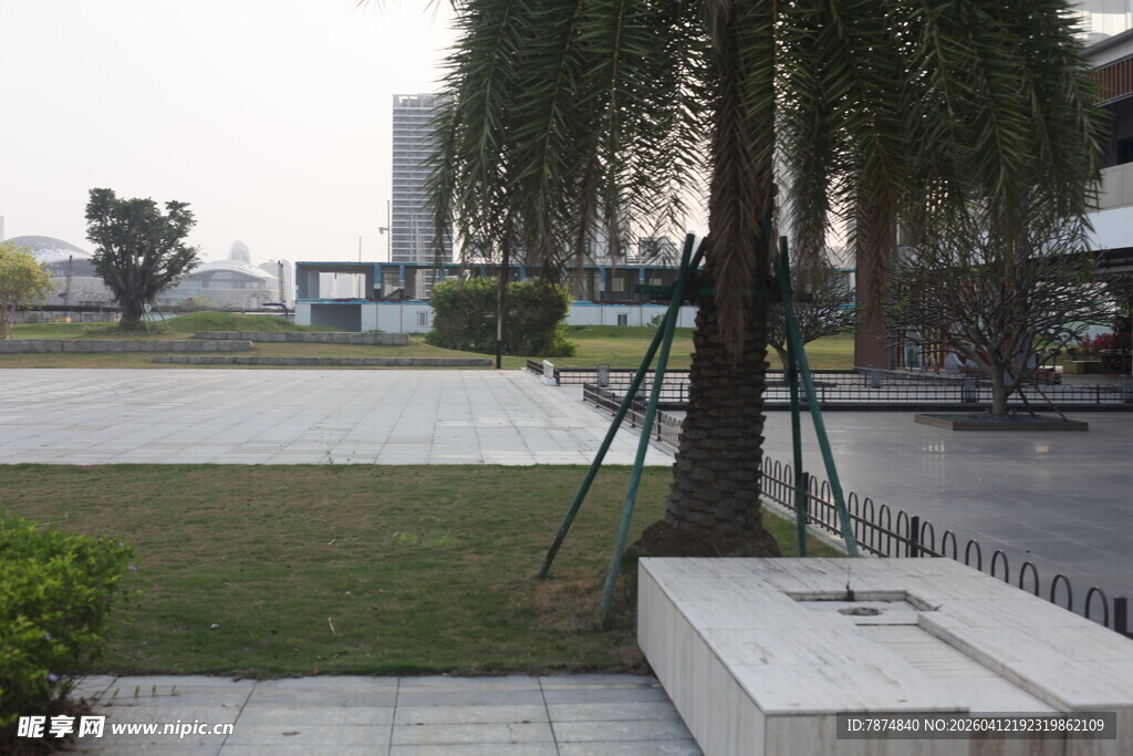 湛江户外树木旁的休闲场景