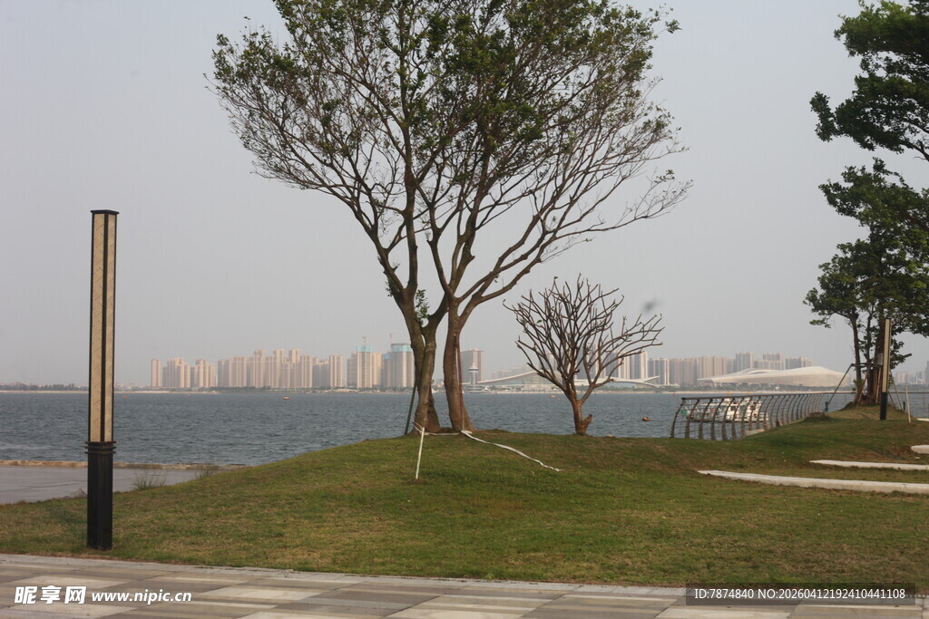 湛江湖畔草地旁的树木景观