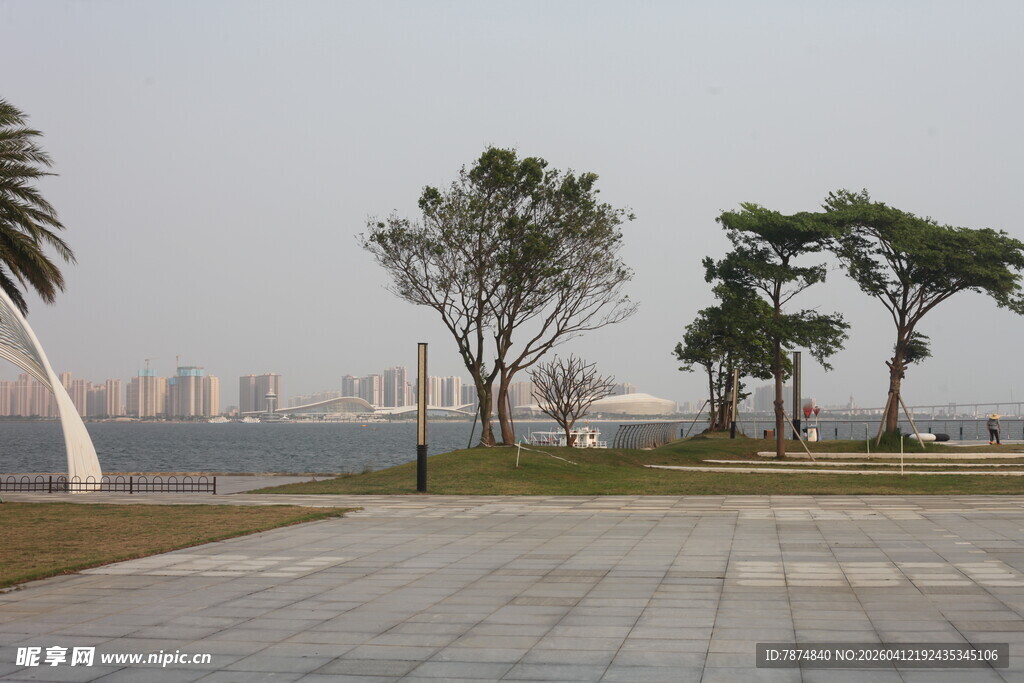 湛江城市广场旁的树木与远景