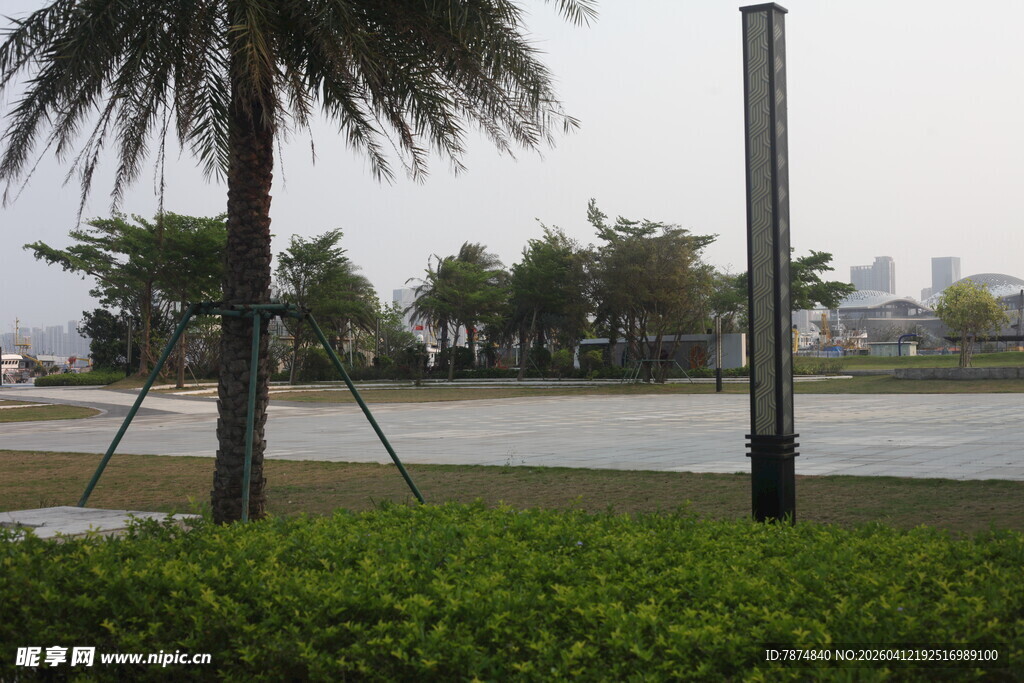 湛江户外道路旁的绿植与树木