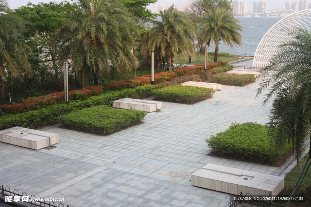 湛江城市中的静谧绿植休憩区
