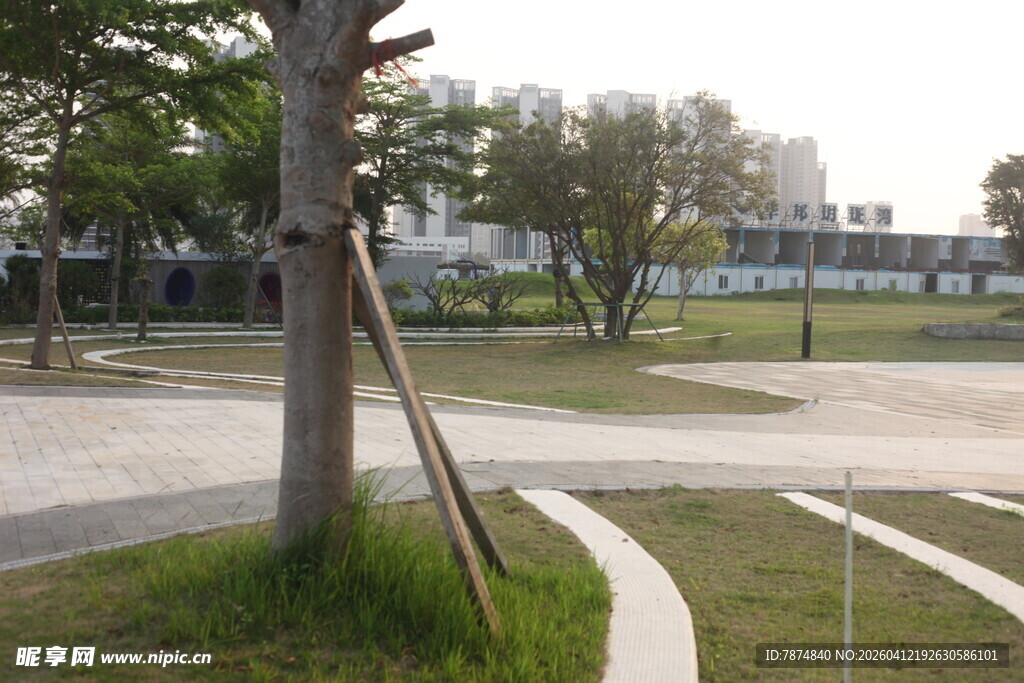 湛江公园内的树木与开阔场地