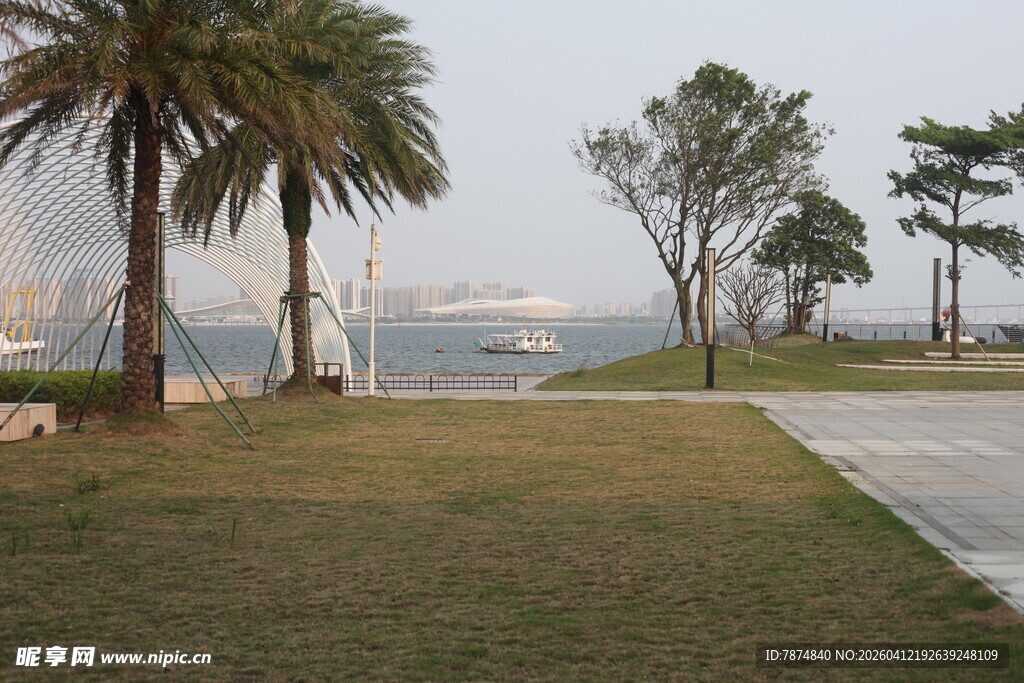 湛江海滨草地旁的树木景观