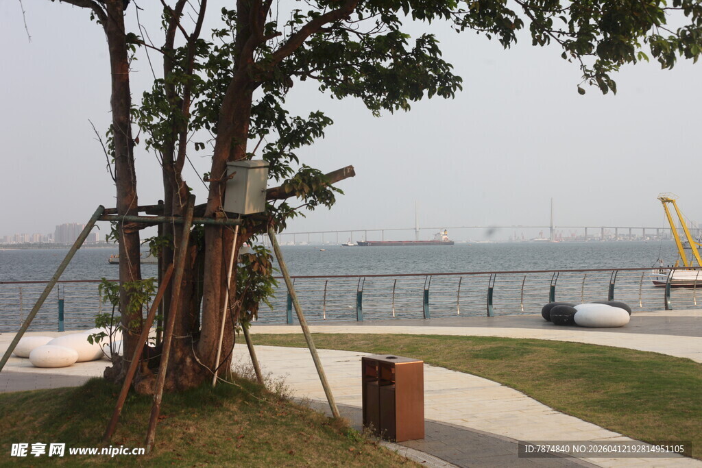 湛江湖畔绿树旁的宁静景致