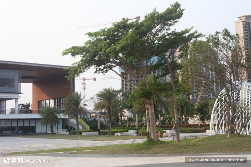 湛江校园绿树环绕的建筑景观