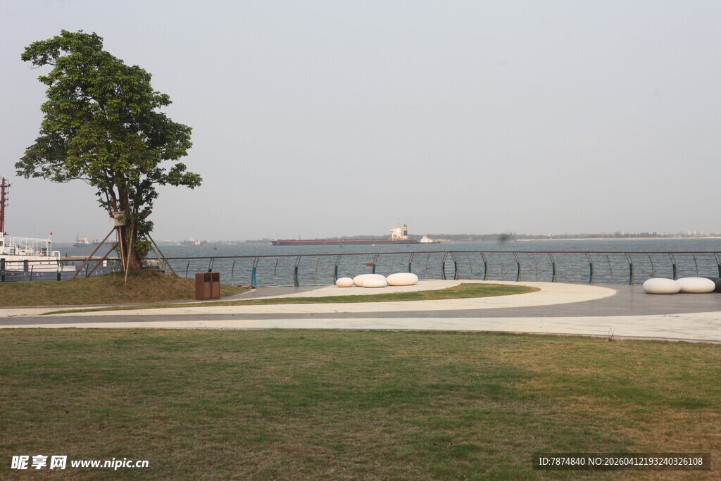 湖畔孤树与开阔景致