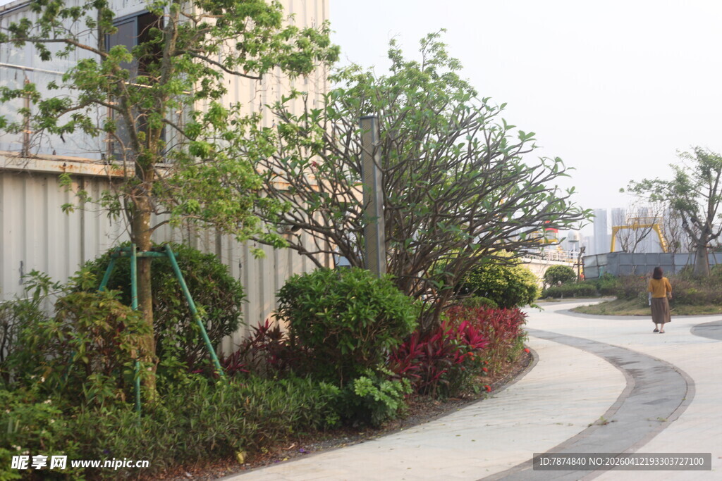 小区旁的绿植景观小径