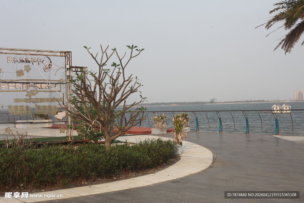 湛江海滨景观处的绿植与设施