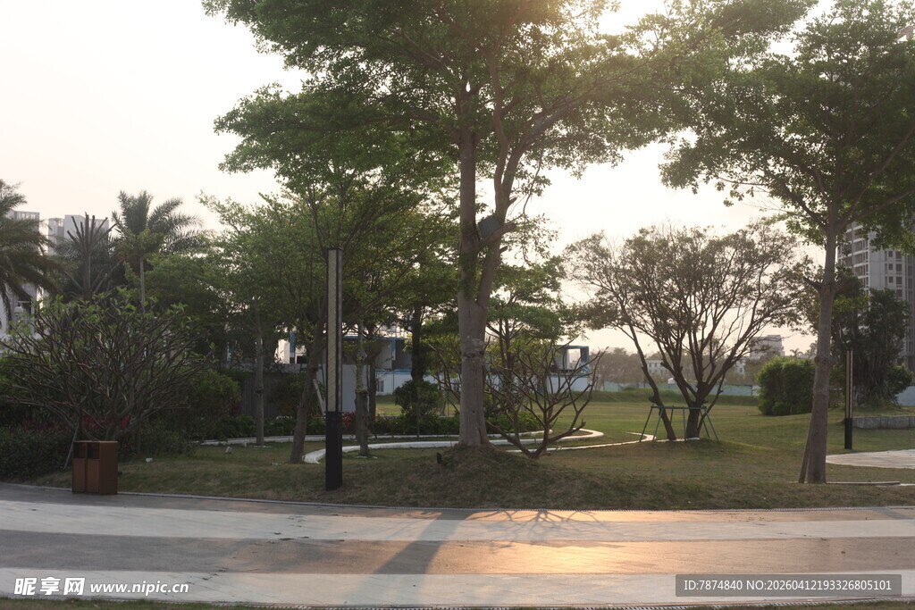 湛江黄昏下的公园绿树景观