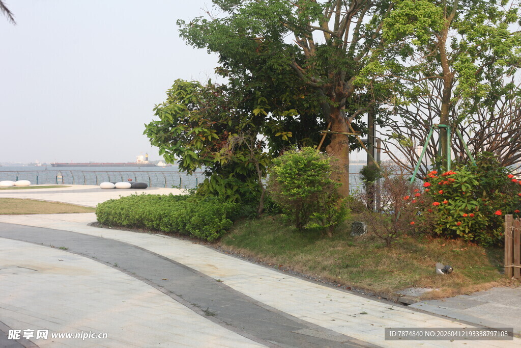 湛江海滨路旁绿植景观