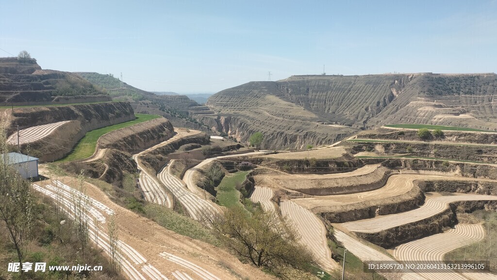 黄土梯田景观