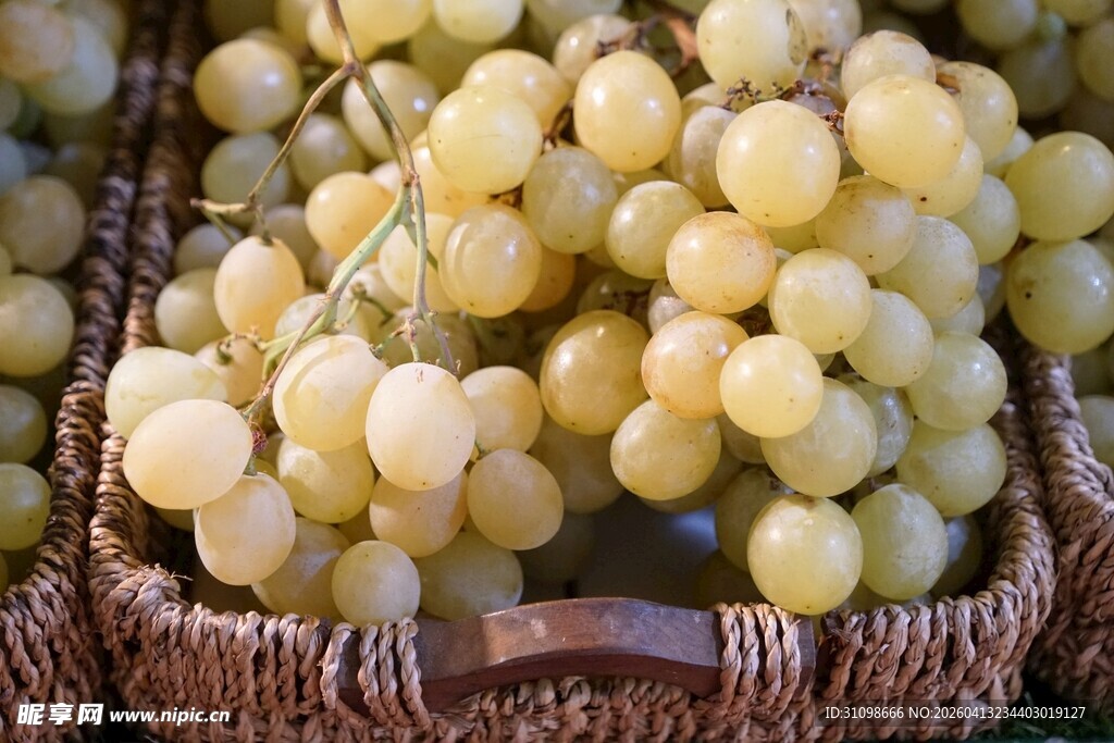 筐中晶莹白葡萄