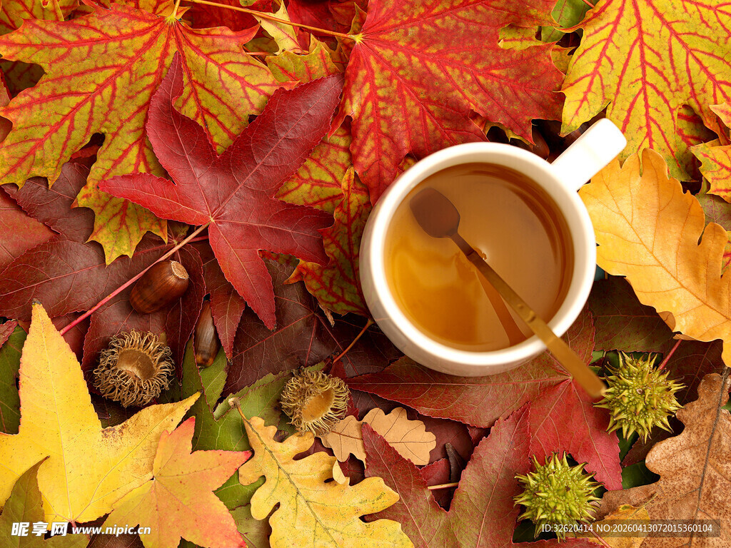 秋日落叶中的温暖咖啡杯