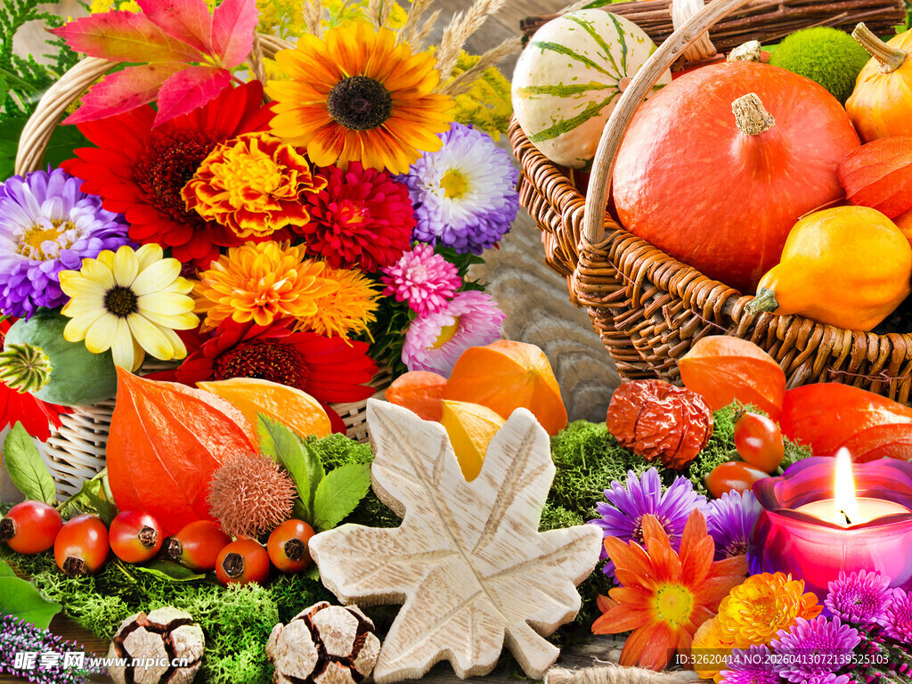 缤纷秋日花卉蔬果组合
