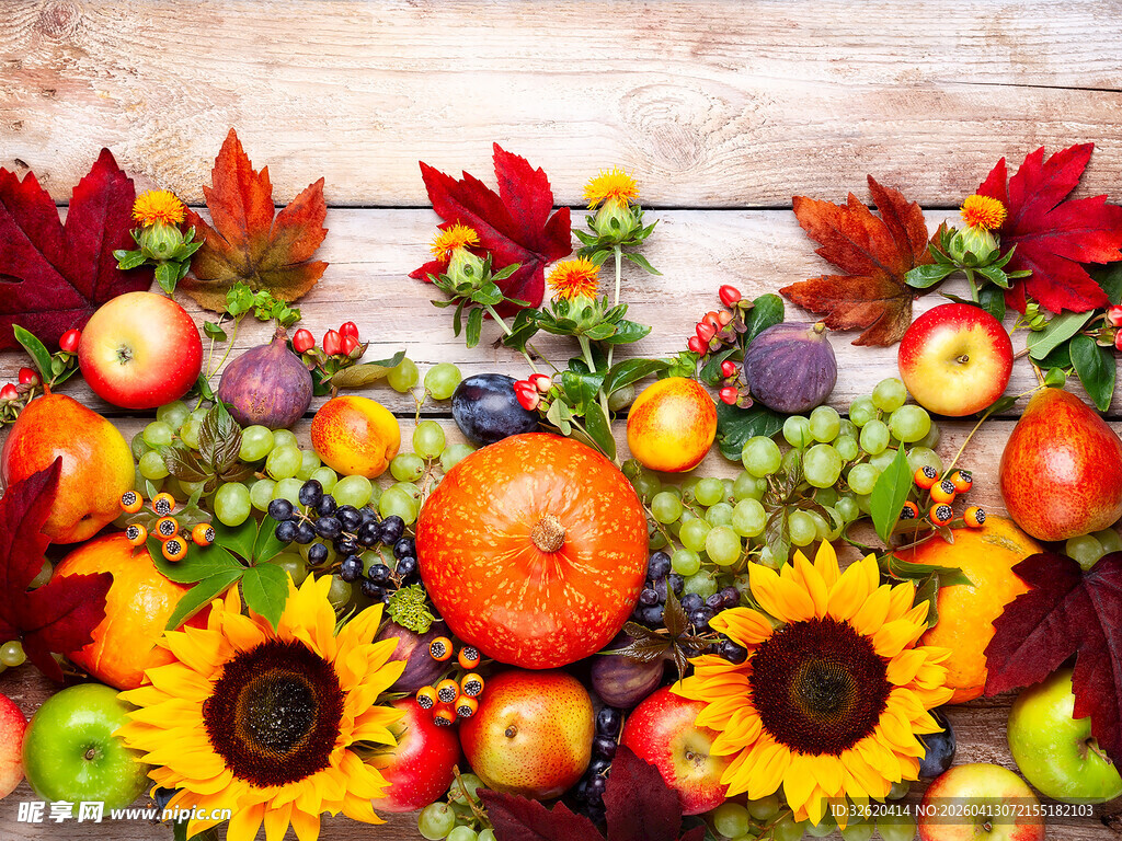 秋日缤纷水果花卉组合