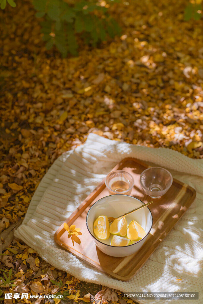 户外野餐的休闲美食场景